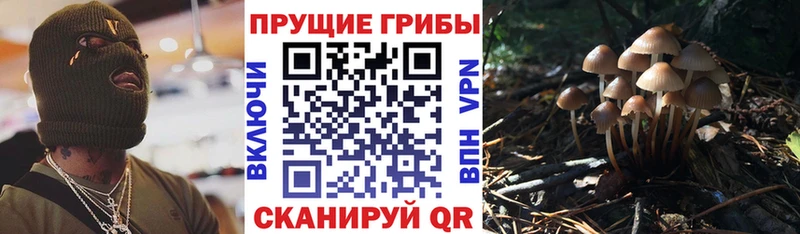 Галлюциногенные грибы Magic Shrooms Коммунар